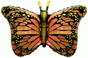 Бабочка - монарх