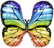 Бабочка яркая радуга, голография